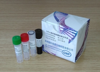 高危型人乳头瘤病毒（ HR-HPV）核酸检测试剂盒